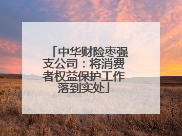 中华财险枣强支公司：将消费者权益保护工作落到实处