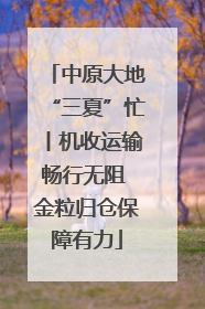 中原大地“三夏”忙丨机收运输畅行无阻 金粒归仓保障有力