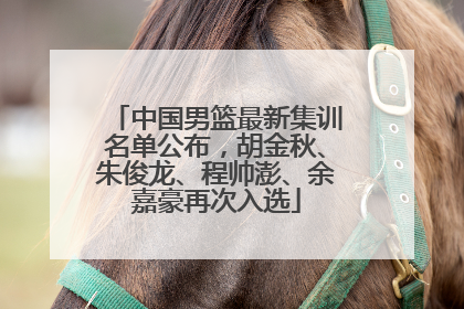中国男篮最新集训名单公布，胡金秋、朱俊龙、程帅澎、余嘉豪再次入选