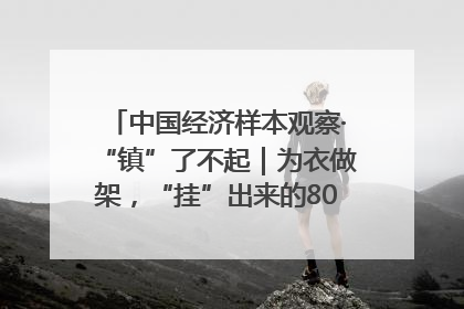中国经济样本观察·“镇”了不起｜为衣做架，“挂”出来的80亿元“衣架产业”