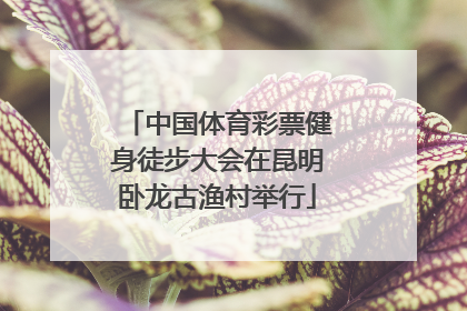 中国体育彩票健身徒步大会在昆明卧龙古渔村举行