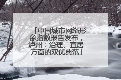 中国城市网络形象指数报告发布，泸州：治理、宜居方面的双优典范