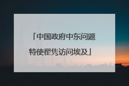 中国政府中东问题特使翟隽访问埃及