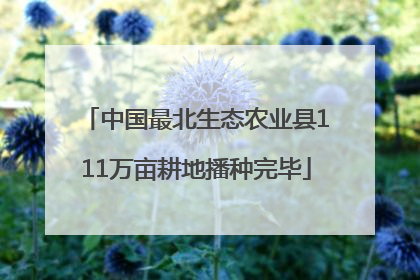 中国最北生态农业县111万亩耕地播种完毕