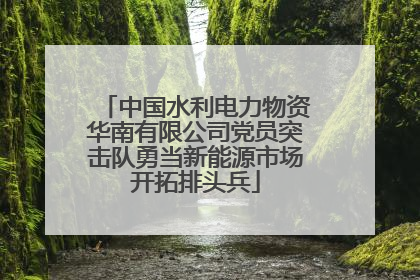 中国水利电力物资华南有限公司党员突击队勇当新能源市场开拓排头兵