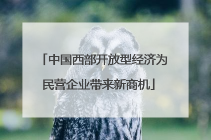 中国西部开放型经济为民营企业带来新商机