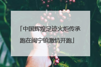 中国辉煌足迹火炬传承跑在闽宁镇激情开跑