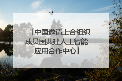 中国邀请上合组织成员国共建人工智能应用合作中心