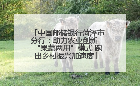 中国邮储银行菏泽市分行：助力农业创新 “果蔬两用”模式 跑出乡村振兴加速度