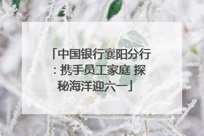 中国银行襄阳分行：携手员工家庭 探秘海洋迎六一