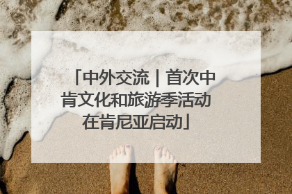 中外交流｜首次中肯文化和旅游季活动在肯尼亚启动