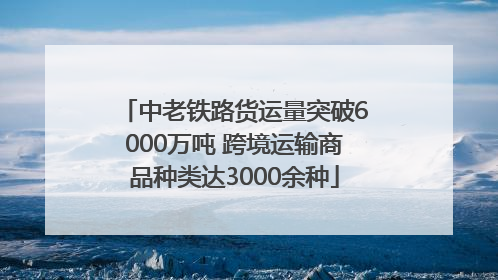 中老铁路货运量突破6000万吨 跨境运输商品种类达3000余种