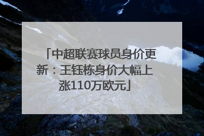 中超联赛球员身价更新：王钰栋身价大幅上涨110万欧元