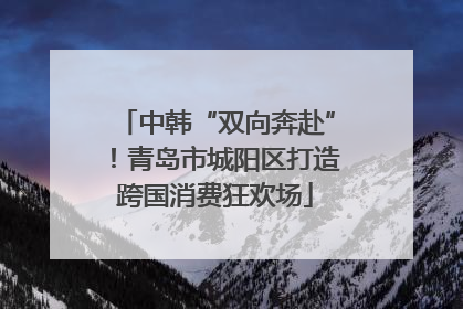中韩“双向奔赴”！青岛市城阳区打造跨国消费狂欢场
