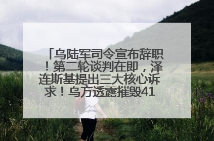乌陆军司令宣布辞职！第二轮谈判在即，泽连斯基提出三大核心诉求！乌方透露摧毁41架俄战略轰炸机