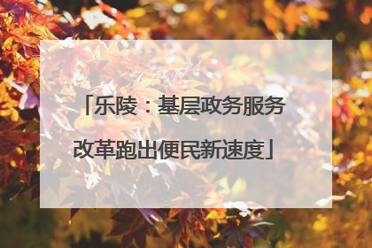 乐陵：基层政务服务改革跑出便民新速度
