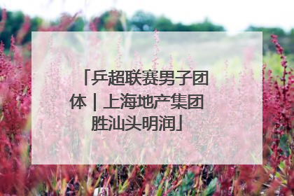 乒超联赛男子团体｜上海地产集团胜汕头明润