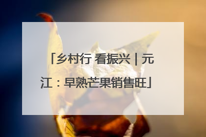 乡村行 看振兴｜元江：早熟芒果销售旺