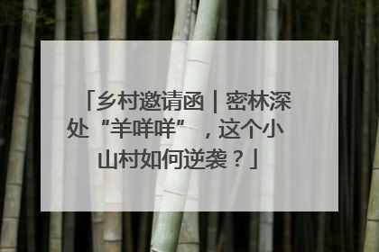 乡村邀请函｜密林深处“羊咩咩”，这个小山村如何逆袭？
