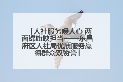 人社服务暖人心 两面锦旗映担当——东昌府区人社局优质服务赢得群众双赞誉