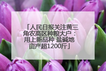 人民日报关注黄三角农高区种粮大户：用上新品种 盐碱地亩产超1200斤