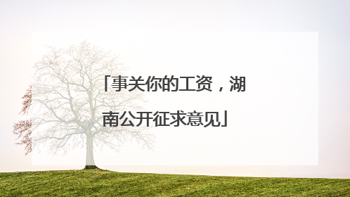 事关你的工资，湖南公开征求意见