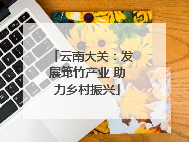 云南大关：发展筇竹产业 助力乡村振兴