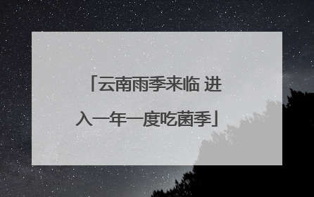 云南雨季来临 进入一年一度吃菌季