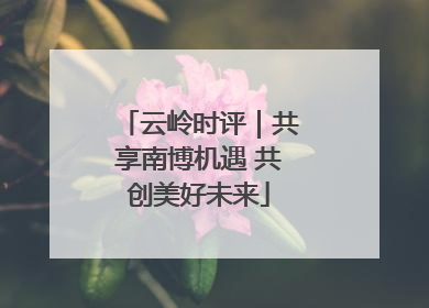 云岭时评｜共享南博机遇 共创美好未来