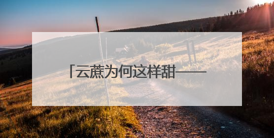 云蔗为何这样甜——云南省以科技助推蔗糖产业转型升级观察