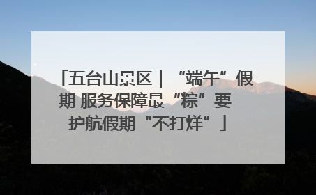 五台山景区｜“端午”假期 服务保障最“粽”要 护航假期“不打烊”