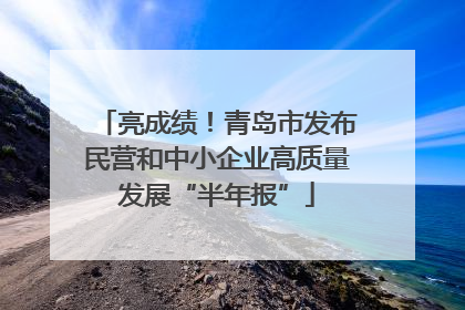 亮成绩！青岛市发布民营和中小企业高质量发展“半年报”
