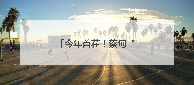 今年首茬！蔡甸“水果莲藕”上市