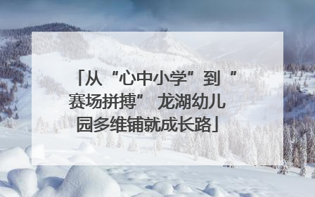 从“心中小学”到“赛场拼搏” 龙湖幼儿园多维铺就成长路