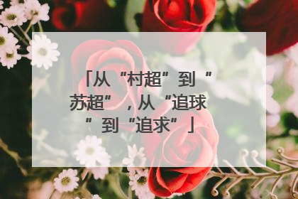 从“村超”到“苏超”，从“追球”到“追求”