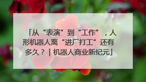 从“表演”到“工作”，人形机器人离“进厂打工”还有多久？｜机器人商业新纪元