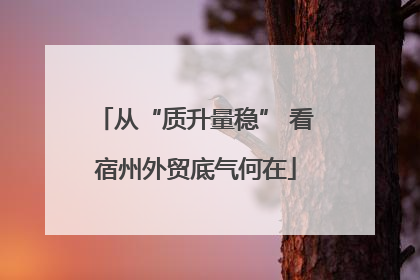 从“质升量稳” 看宿州外贸底气何在