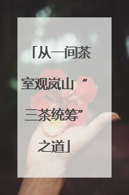 从一间茶室观岚山“三茶统筹”之道