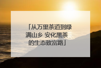 从万里茶道到绿满山乡 安化黑茶的生态致富路