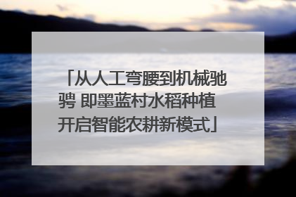 从人工弯腰到机械驰骋 即墨蓝村水稻种植开启智能农耕新模式