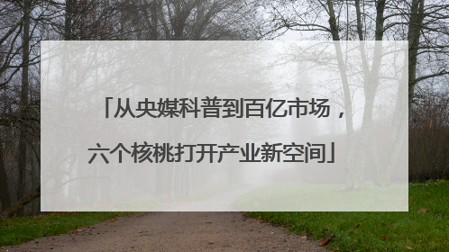 从央媒科普到百亿市场，六个核桃打开产业新空间