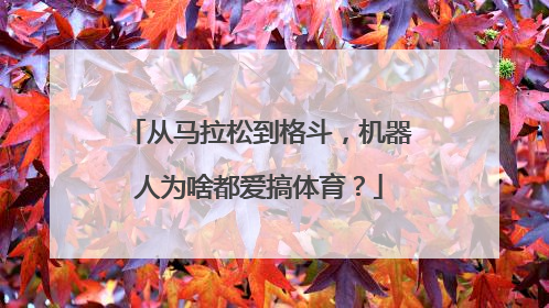 从马拉松到格斗，机器人为啥都爱搞体育？