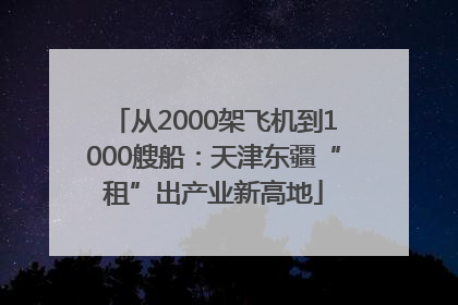 从2000架飞机到1000艘船：天津东疆“租”出产业新高地