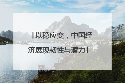 以稳应变，中国经济展现韧性与潜力