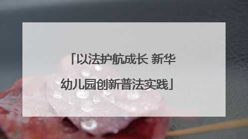 以法护航成长 新华幼儿园创新普法实践