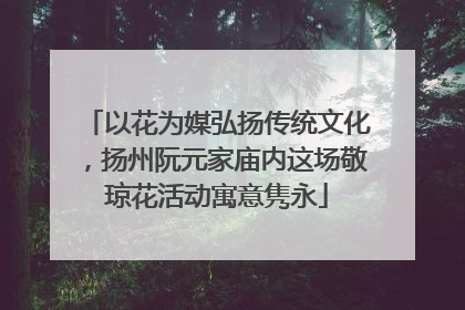 以花为媒弘扬传统文化，扬州阮元家庙内这场敬琼花活动寓意隽永