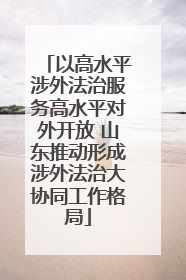 以高水平涉外法治服务高水平对外开放 山东推动形成涉外法治大协同工作格局