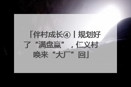 伴村成长④丨规划好了“满盘赢”，仁义村唤来“大厂”回