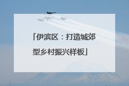 伊滨区：打造城郊型乡村振兴样板