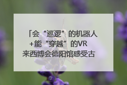 会“巡逻”的机器人+能“穿越”的VR 来西博会德阳馆感受古蜀文明与现代智造的时空对话｜西博视界